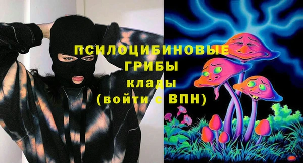 ешки Дмитров