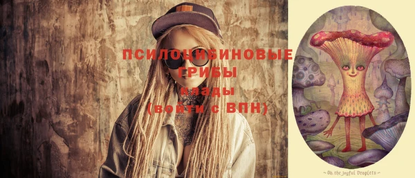ешки Дмитров