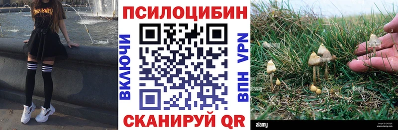 Галлюциногенные грибы прущие грибы  купить   Ужур 